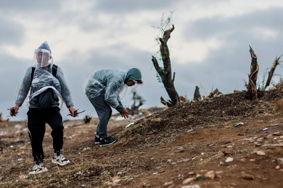 Migrants gather kindling for a campfire