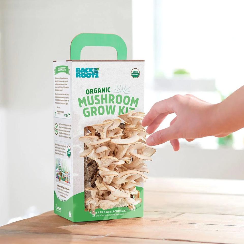<p><a href="https://backtotheroots.com/products/mushroom-grow-kit" rel="nofollow noopener" target="_blank" data-ylk="slk:Shop Now;elm:context_link;itc:0;sec:content-canvas" class="link ">Shop Now</a></p><p>Organic Mushroom Grow Kit</p><p>$19.99</p><p>backtotheroots.com</p><span class="copyright">Back to the Roots</span>