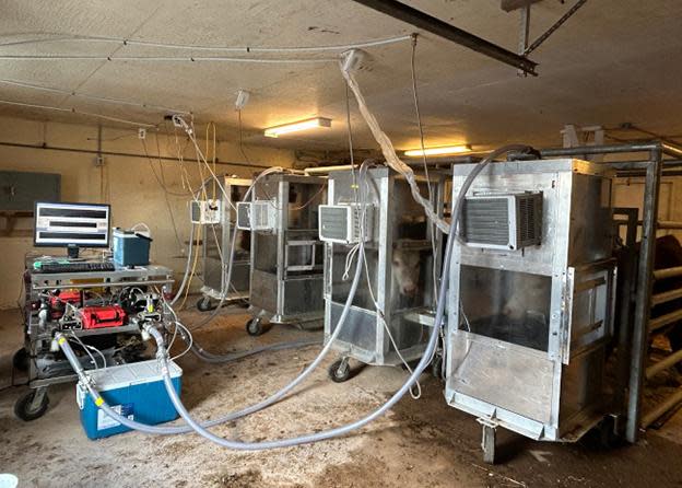 The respiratory chambers measure and track greenhouse gases coming from the cows’ digestive system. 