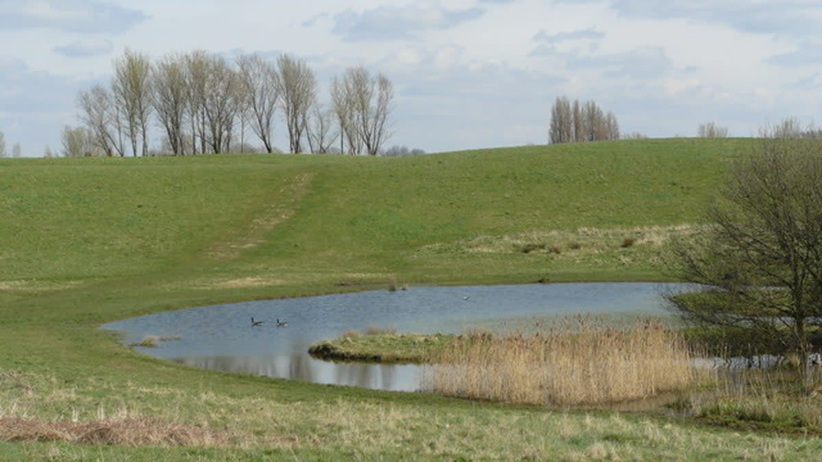 Bidder's Pond on Mitcham Common (Peter Trimming)