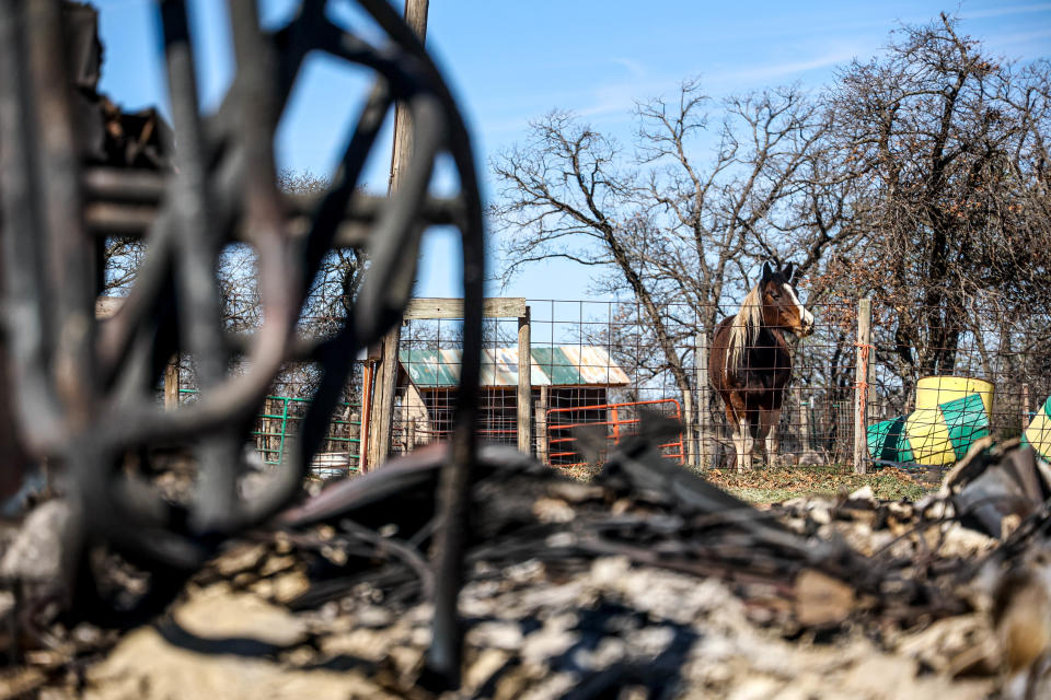 Horses stand near a burned-down barn at Dimond D Ranch after a wildfire in Logan County near Guthrie, Okla., on Saturday, April 1, 2023.