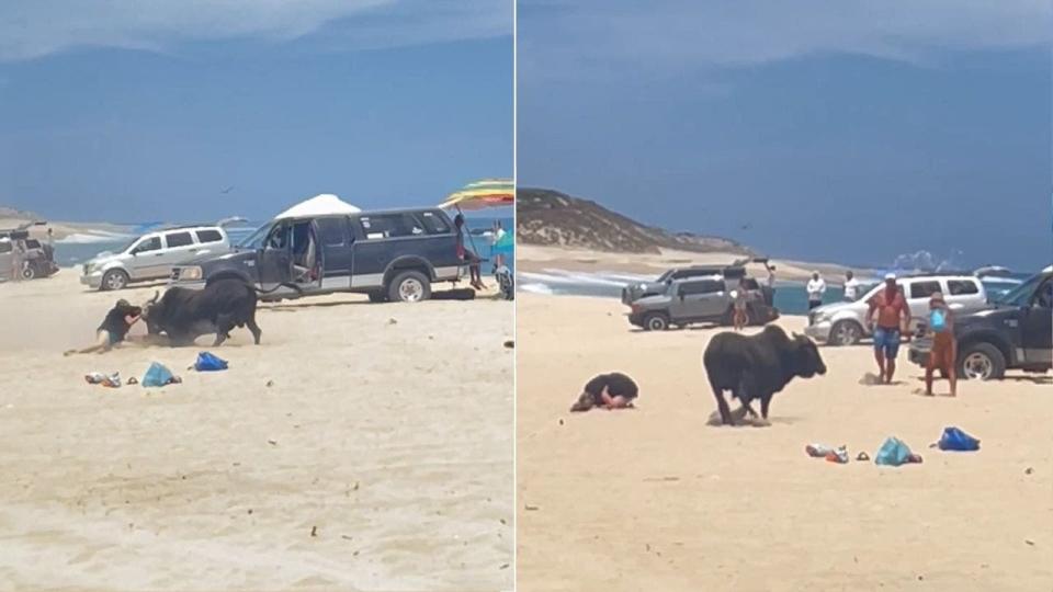 Collage of a woman being attacked by a bull