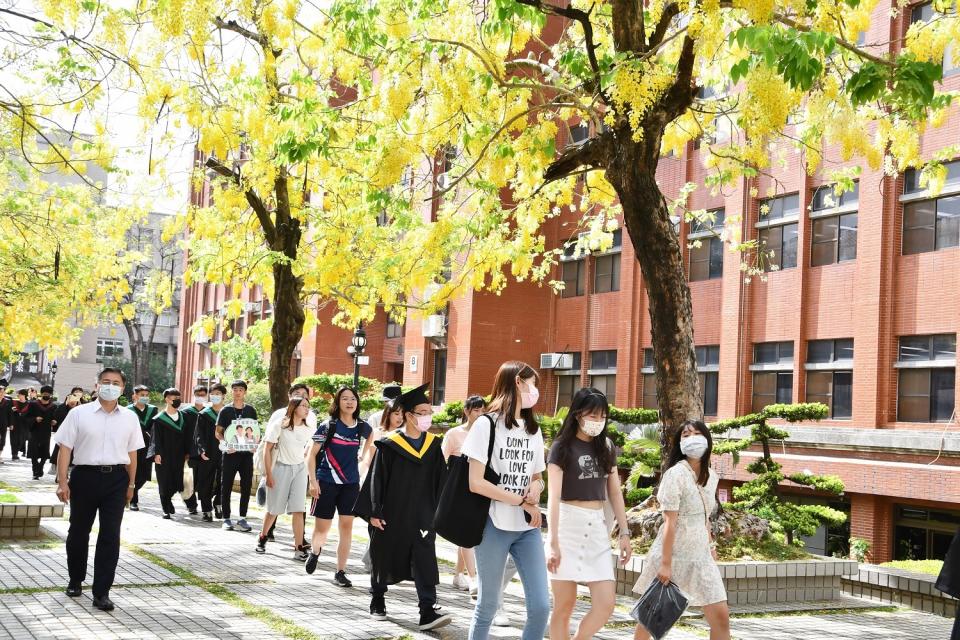南大畢業生漫步在盛開的阿勃勒樹下進行校園巡禮。（記者施春瑛攝）