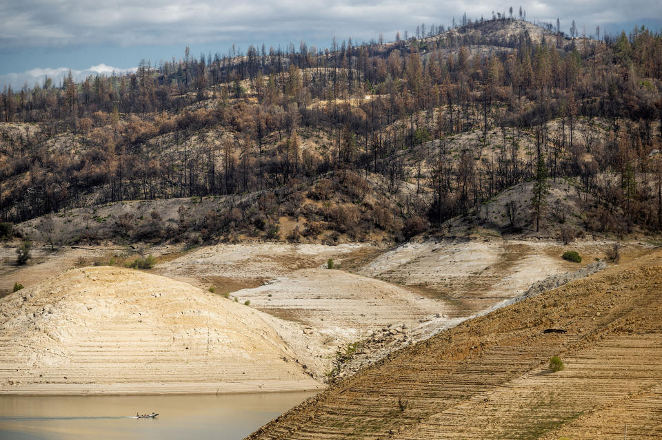A boat crosses Lake Oroville below trees scorched in the 2020 North Complex Fire, Sunday, May 23, 2021, in Oroville, Calif. At the time of this photo, the reservoir was at 39 percent of capacity and 46 percent of its historical average. California officials say the drought gripping the U.S. West is so severe it could cause one of the state's most important reservoirs to reach historic lows by late August, closing most boat ramps and shutting down a hydroelectric power plant during the peak demand of the hottest part of the summer. (AP Photo/Noah Berger)