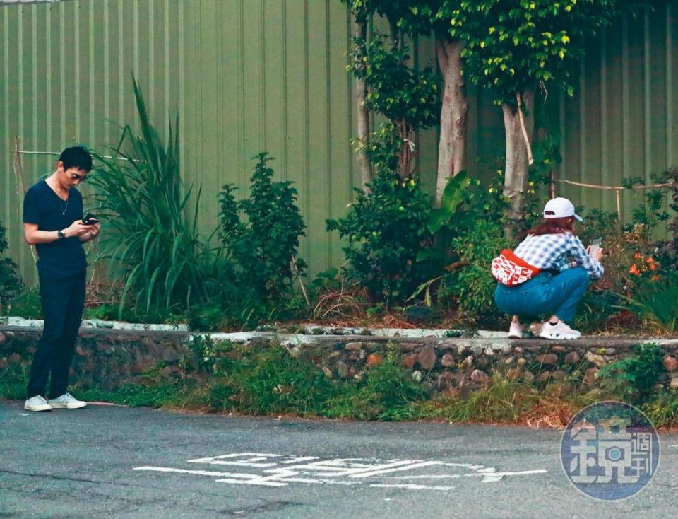 10月4日17：20，謝忻突然跑到路邊的花圃，蹲下拍攝路邊野花。