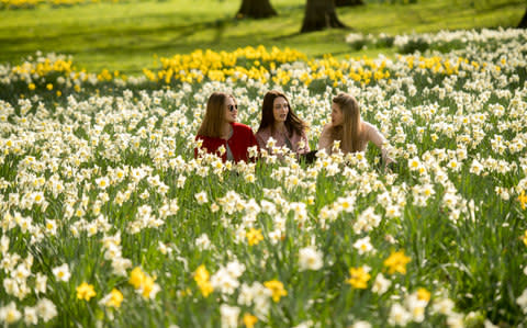 Green Park in more modern times - Credit: Paul Grover for The Telegraph