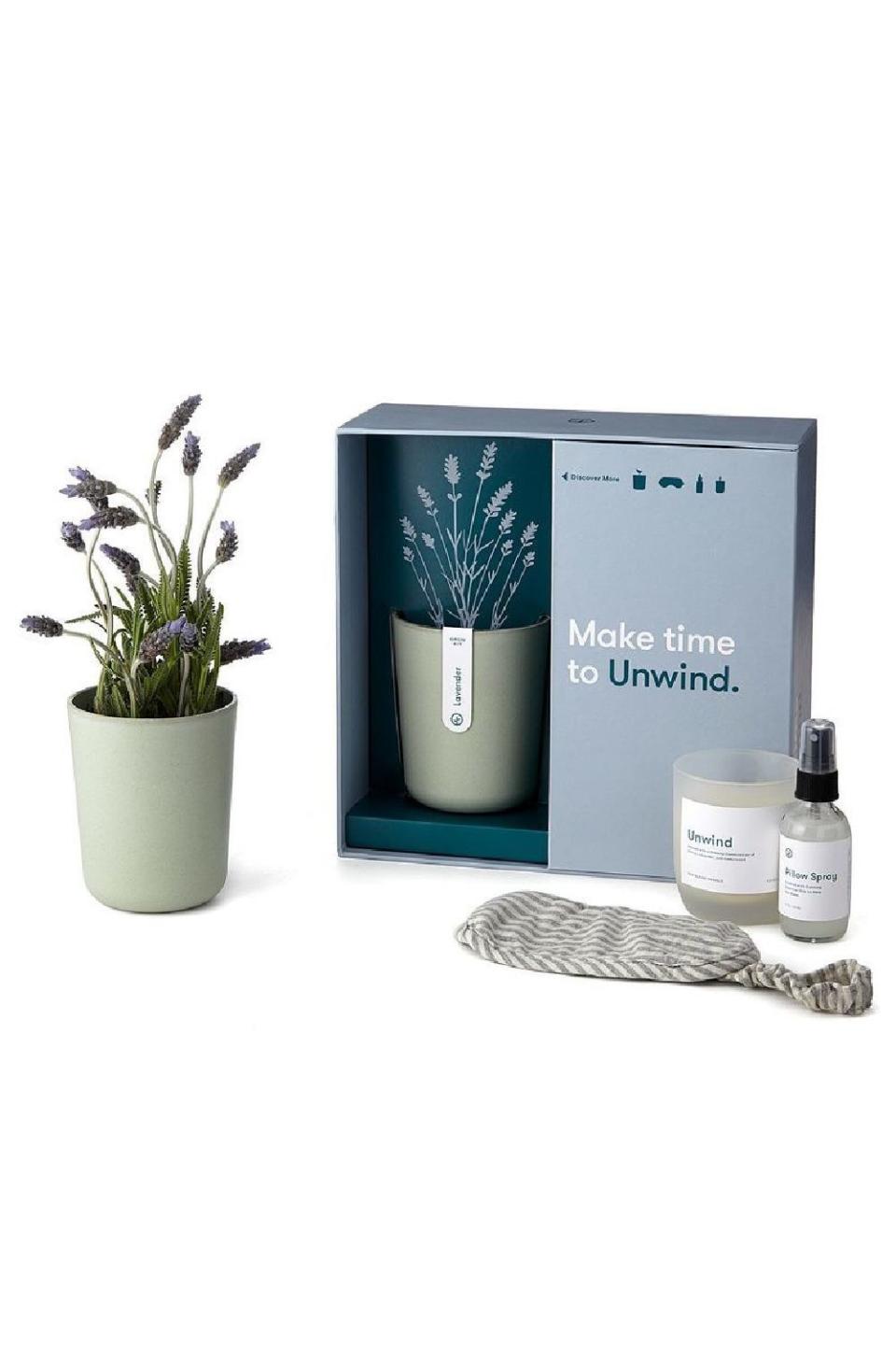 21) Lavender Gift Set