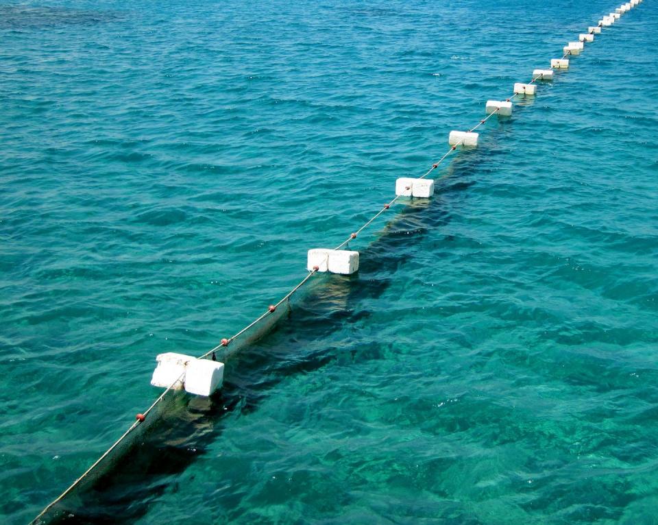 shark net in water