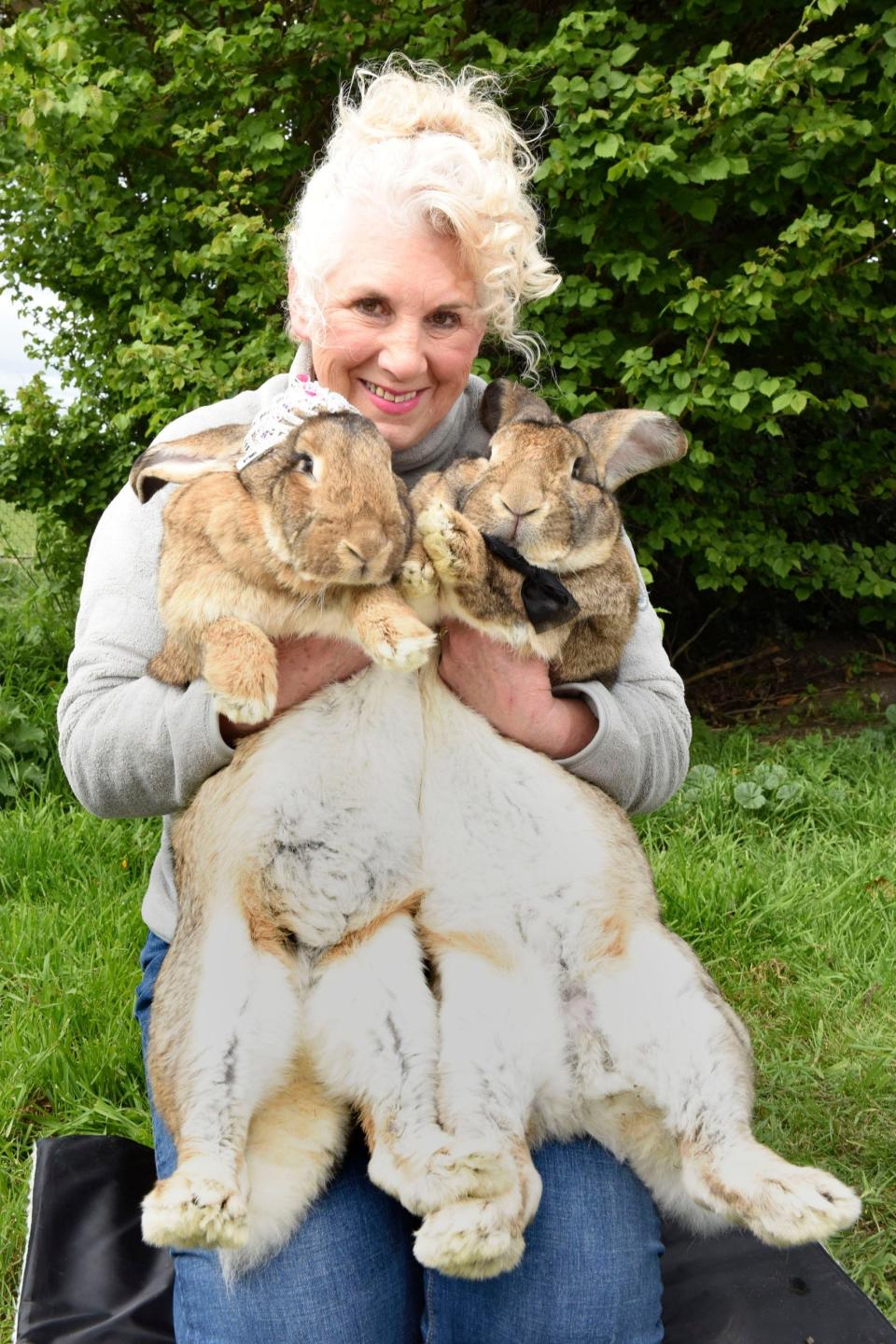 Annette Edwards pictured with Darius (right) and Honey - Caters News Agency