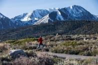 Neben Hollywood und Sandstränden hat Kalifornien noch so einiges mehr zu bieten. Die Stadt Mammoth Lakes überzeugt beispielsweise mit zahlreichen kristallklaren Seen und einer faszinierenden Bergkulisse. (Bild: Christian Pondella/Wings for Life World Run)