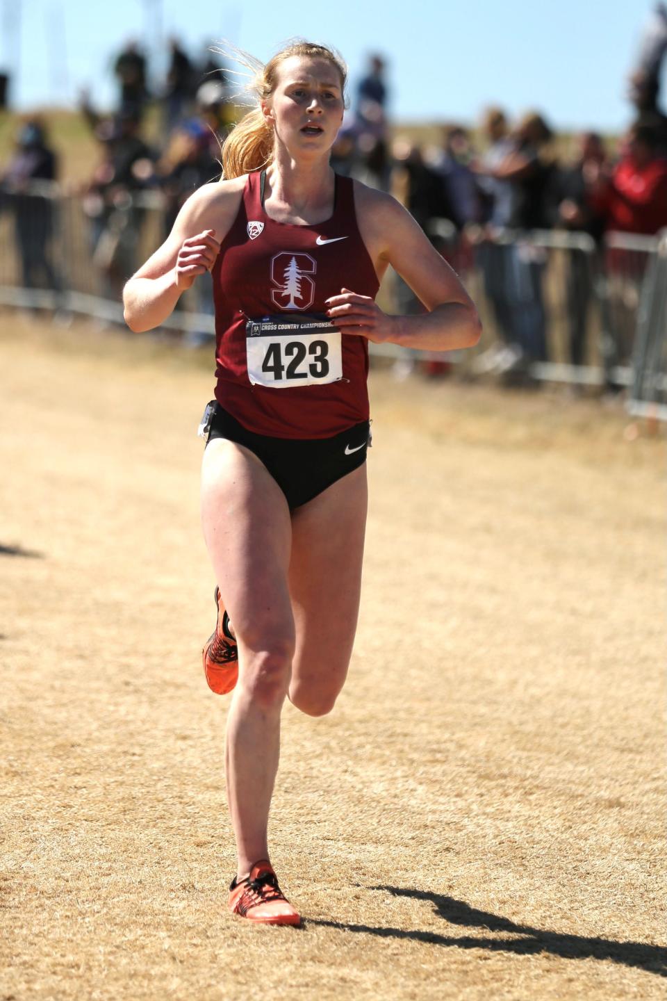 Natick's Grace Connolly competes for Stanford University at the NCAA Division I Cross Country Championships in Stillwater, Oklahoma.