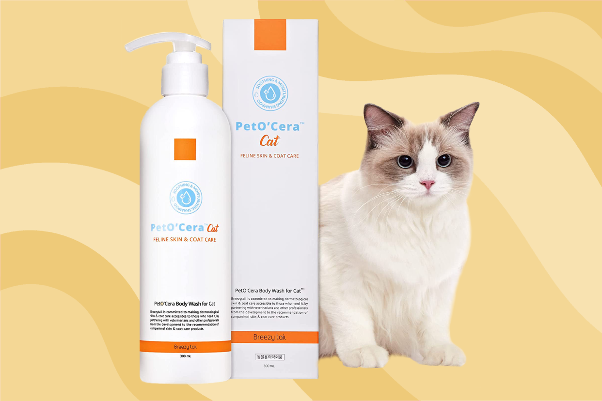 cat shampoo products