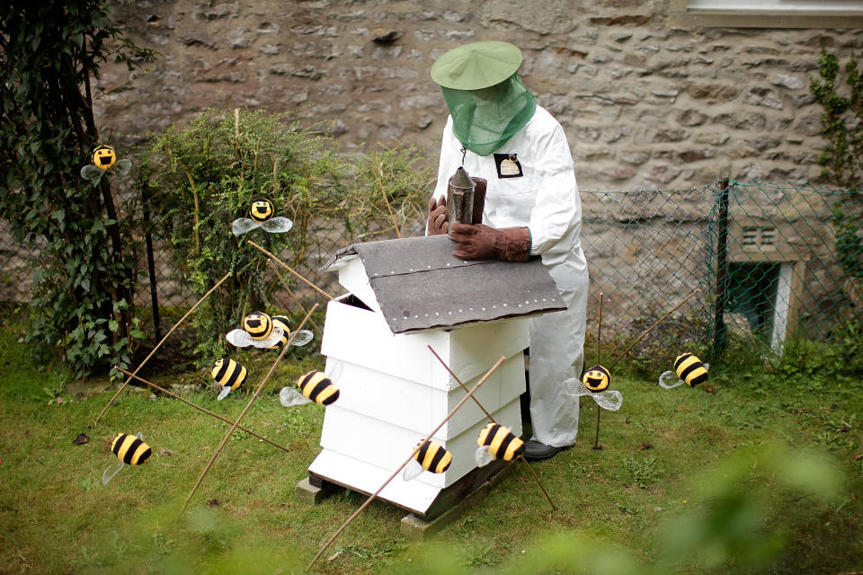 A scarecrow dressed as a bee-keeper stands beside a hive and bees as part of the annual scarecrow festival on August 13.