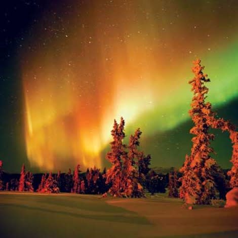 Both fall color and the cosmic aurora borealis