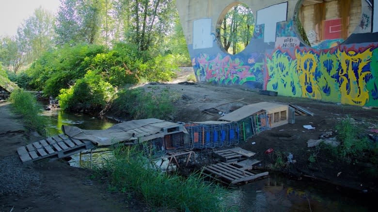 'It's ingenious really': Homeless campers build bridge out of shopping carts