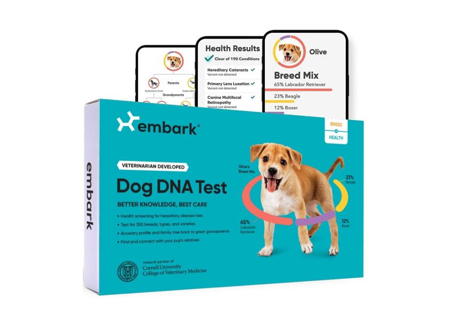 dog dna test embark amazon prime day deal sale