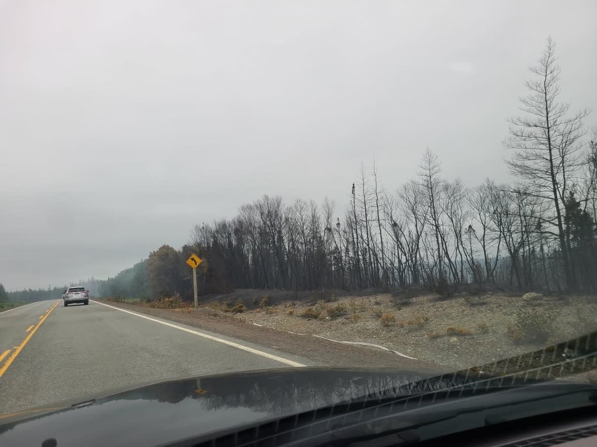 The Bay d'Espoir Highway has been opened and closed off and on due to a forest fire which began on July 24. (Submitted by Alisha Joe - image credit)