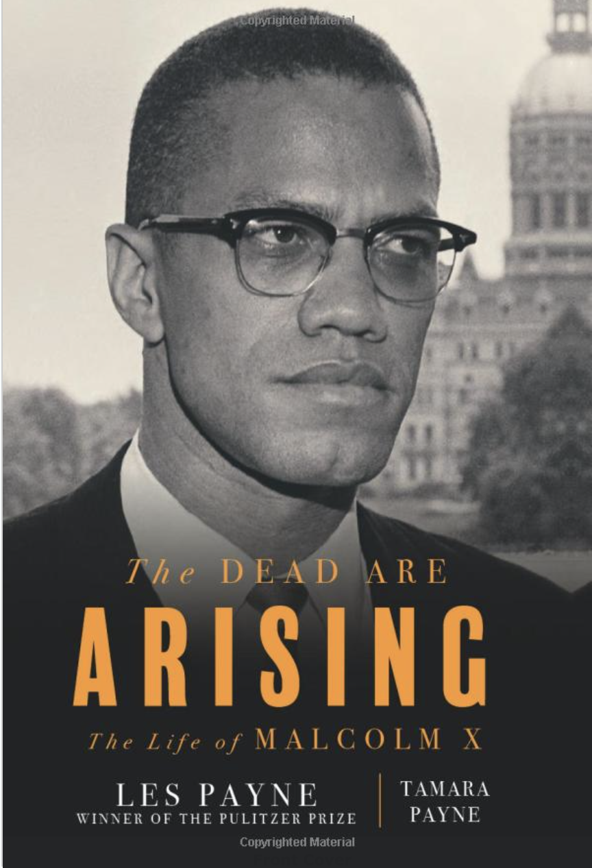 the dead are arising book cover, best black history books