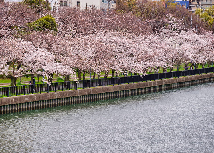 Kema Sakuranomiya Park is made up of multiple adjacent parks