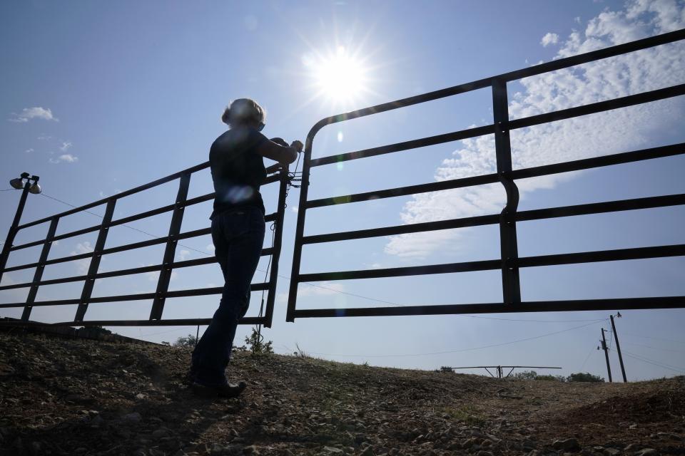 Gilda Jackson opens a gate on her property in Paradise, Texas, Monday, Aug. 21, 2022. The Texas ranch where Jackson trains and sells horses has been plagued by grasshoppers this year, a problem that only gets worse when the hatch quickens in times of heat and drought. Jackson watched this summer as the insects chewed through a 35-acre pasture she badly needs for hay and what they didn't destroy, the sun burned up. (AP Photo/Tony Gutierrez)