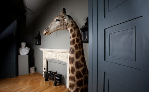 Brighten up any Cotwolds home with some whimsical taxidermy - Credit: Clara Molden