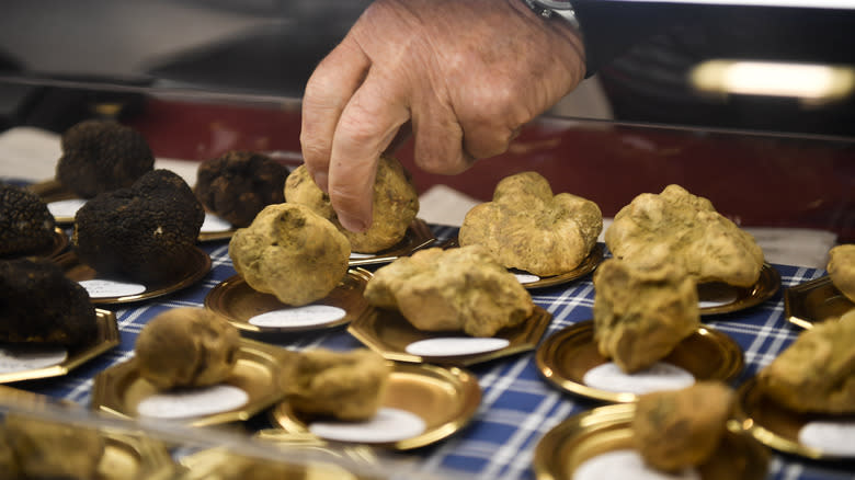 white truffles on display