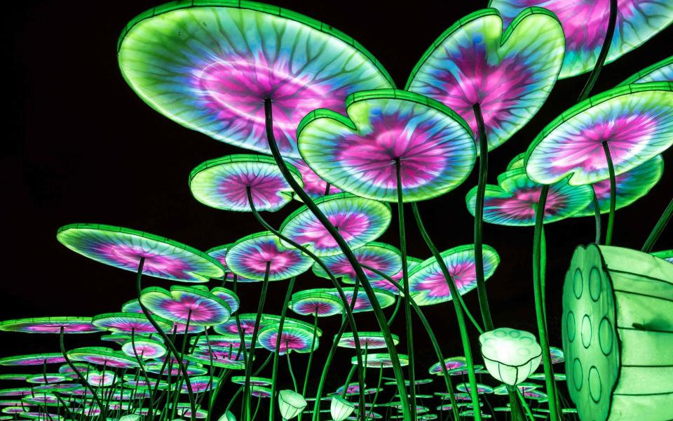 Christmas illuminations light festival Jardin des Plantes paris holidays - BERTRAND GUAY