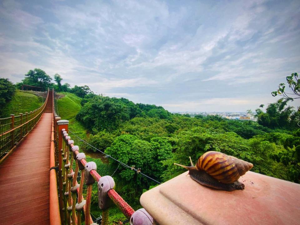 高雄旅遊紅不讓！賞海天一色美景來茄永彌梓林園納福氣 大啖無敵海鮮。【圖／觀光局提供】