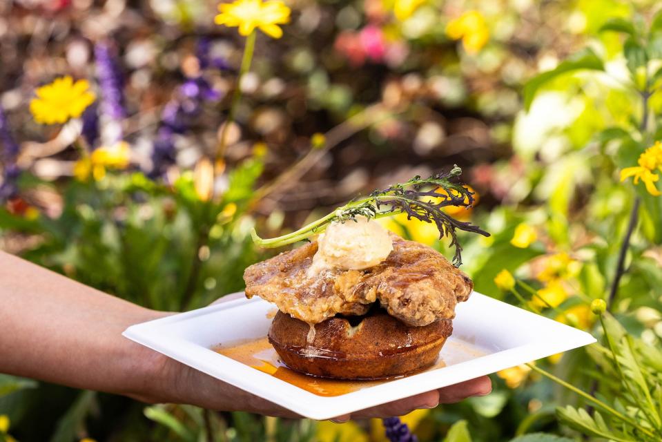 The Honey Bee-stro, hosted by the National Honey Board, returns to the EPCOT International Flower & Garden Festival with favorites such as Chicken & Waffles. The festival, which runs through May 27, features 18 festival-exclusive Outdoor Kitchens.