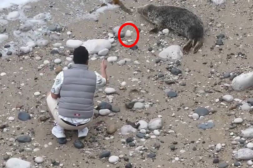The man throws the stone (circled)