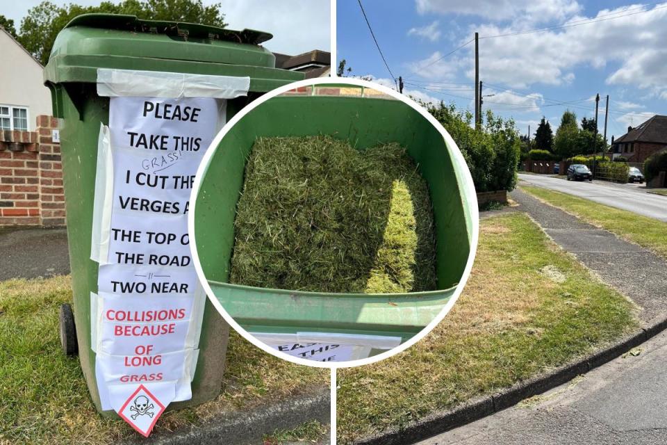 'People will get killed!': Man slams council for wild verge traffic dangers <i>(Image: Colin Dear)</i>