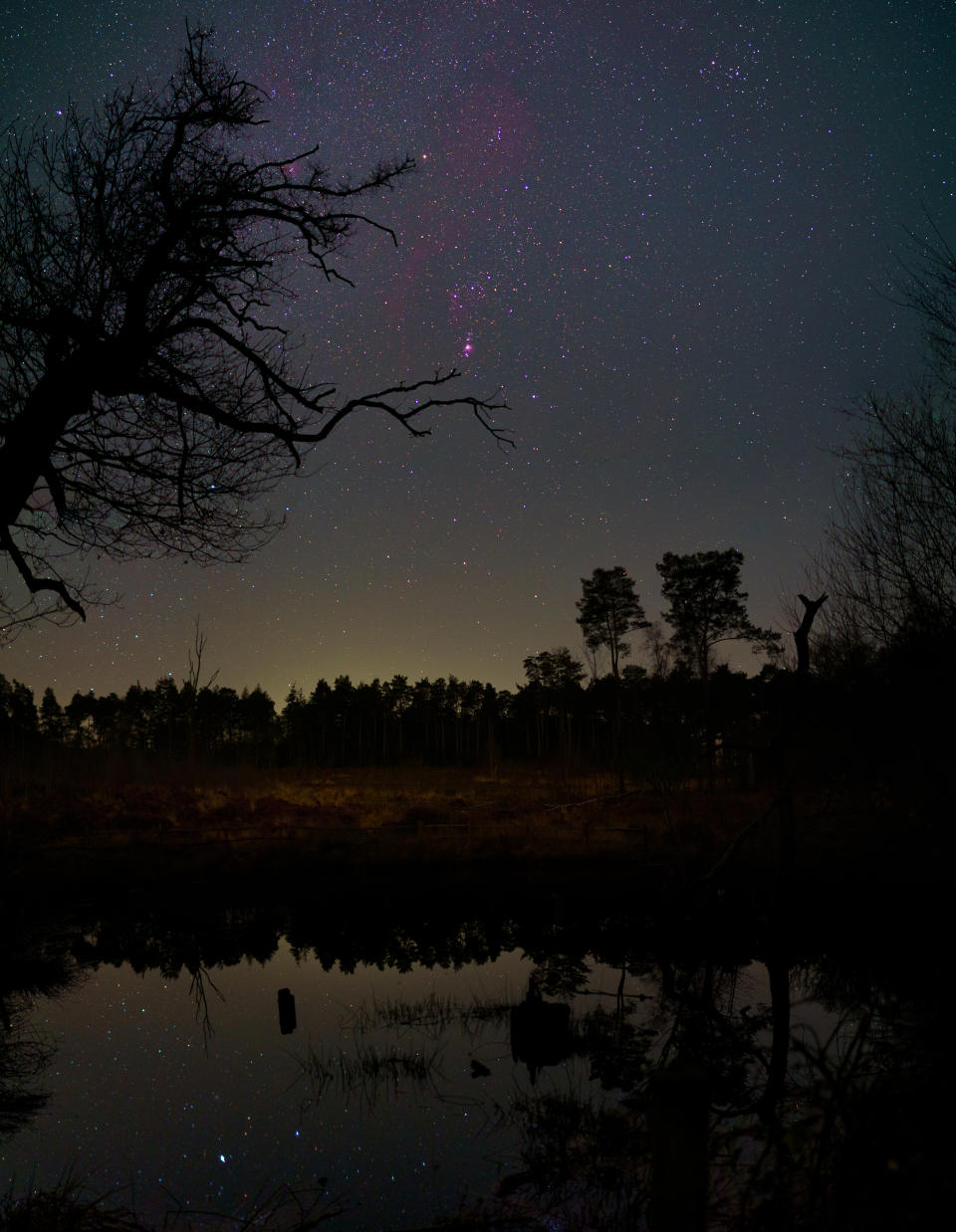 Steve Geliot was highly commended by the judges for his photo Orion Over Black Pond (Steve Geliot/SDNPA/PA)