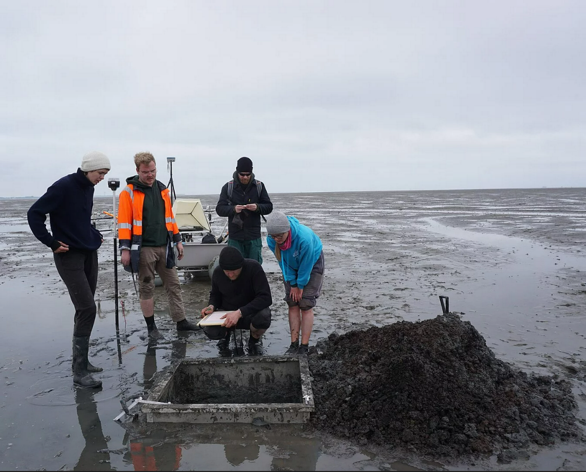 Archaeologists excavate a small area at low tide.