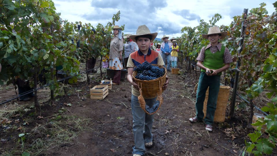 "A Million Miles Away" portrays Hernández helping his family harvest fruits and vegetables and the frustrations he felt at the time. - Daniel Daza/Prime