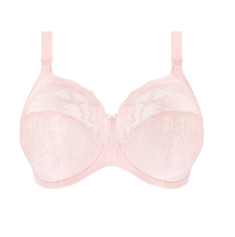 <p><a href="https://go.redirectingat.com?id=74968X1596630&url=https%3A%2F%2Fwww.nordstrom.com%2Fs%2Felomi-molly-full-figure-underwire-nursing-bra%2F5505106&sref=https%3A%2F%2Fwww.harpersbazaar.com%2Ffashion%2Ftrends%2Fg32376555%2Fbest-bras-for-big-boobs%2F" rel="nofollow noopener" target="_blank" data-ylk="slk:Shop Now;elm:context_link;itc:0;sec:content-canvas" class="link ">Shop Now</a></p><p>Molly Full Figure Underwire Nursing Bra</p><p>nordstrom.com</p><p>$49.00</p><span class="copyright">Nordstrom</span>