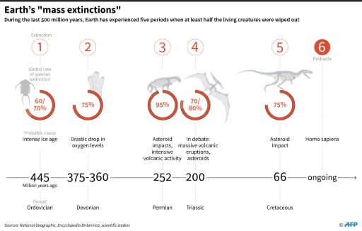 There have been five mass extinction events on Earth over the last half-billion years. We could be entering the 6th, scientists say