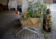 A shopping cart used as a planter is seen at the Cavallerizza Reale building, which is occupied by the "Assemblea Cavallerizza 14:45" movement in Turin, Italy, July 9, 2016. REUTERS/Marco Bello