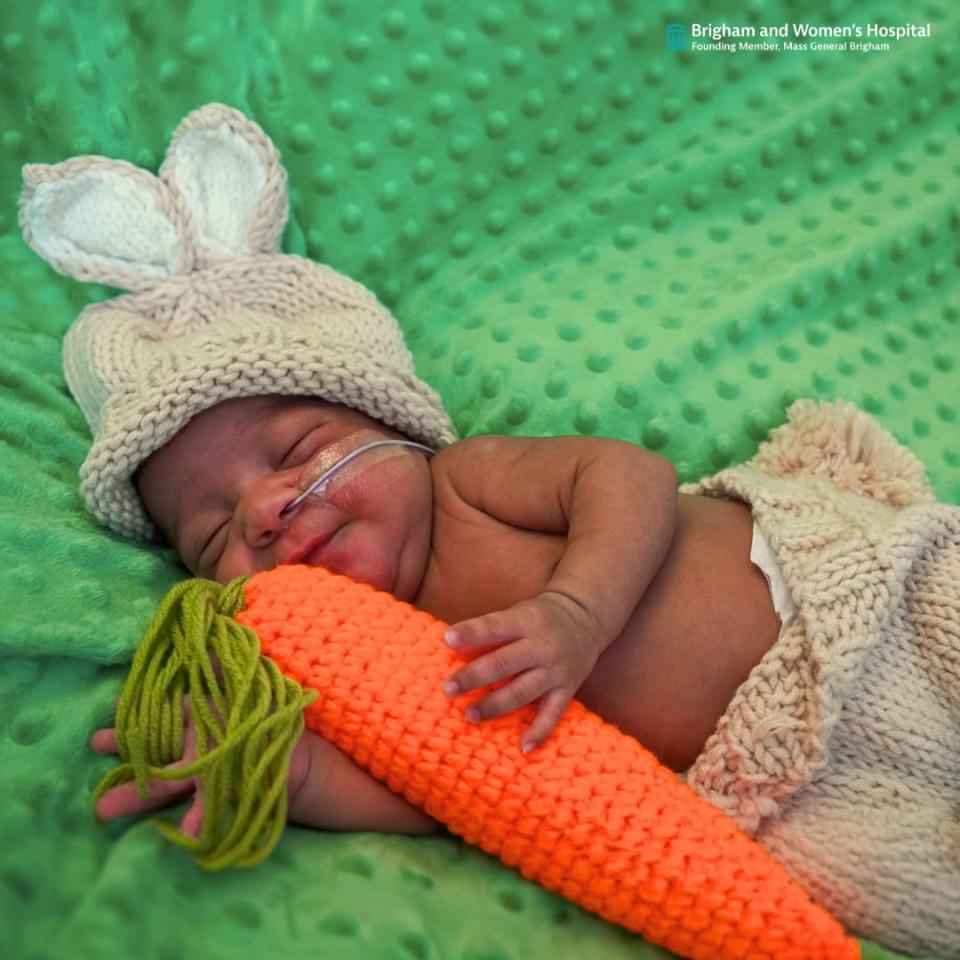 Some-bunny to love:’ Infants from Boston hospital NICU are ready for Easter and spring