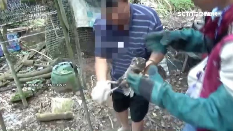 條紋衣男子粗暴地對待保育類動物領角鴞。