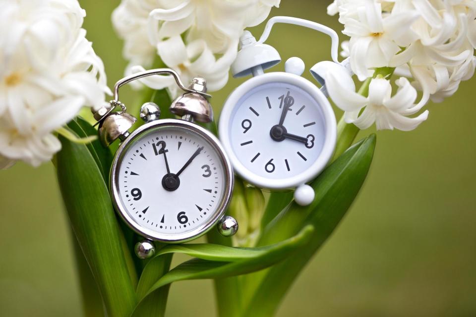 Daylight Saving 2019: When do clocks go forward in the US?