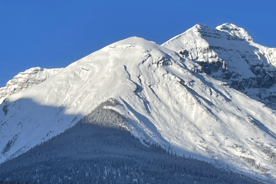 Cathedral Mountain.<p>Avalanche Canada</p>