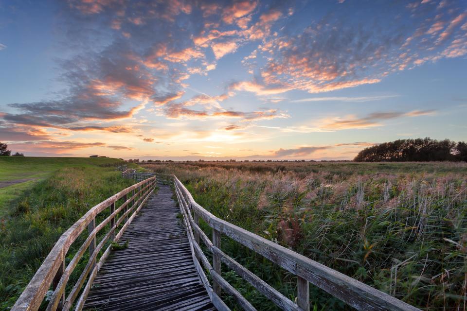 Sunset over The Fens - getty