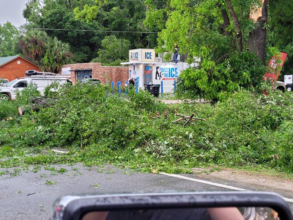 Downed trees in Woodville after powerful storm swept the area on Friday, May 10, 2024.