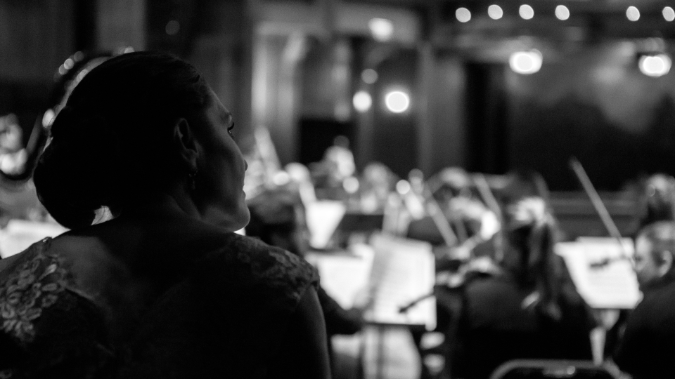 Amanda Stringer, CEO of Tallahassee Symphony Orchestra, gets a back stage look before Renee Fleming performance.