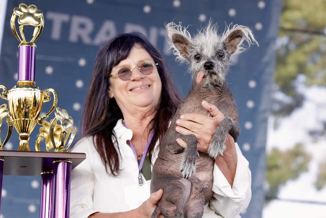 <p>Courtesy of WORLD'S UGLIEST DOG</p> Scooter the Chinese crested dog, the winner of the 2023 Ugliest Dog Contest