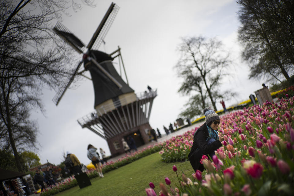 Tourists pose for pictures at the world-renowned Dutch flower garden and showcase, the Keukenhof in Lisse, Netherlands, Thursday, April 13, 2023. More than a million people visited the Keukenhof in 2022. Rain or shine, there is no way to keep budding flowers down. And from the world-famous Keukenhof in the Netherlands to the magical bluebell Hallerbos forest in Belgium, they are out there again, almost in cue to enthrall, enthuse and soothe the mind. All despite the cold and miserable early spring in this part of Western Europe. (AP Photo/Peter Dejong)
