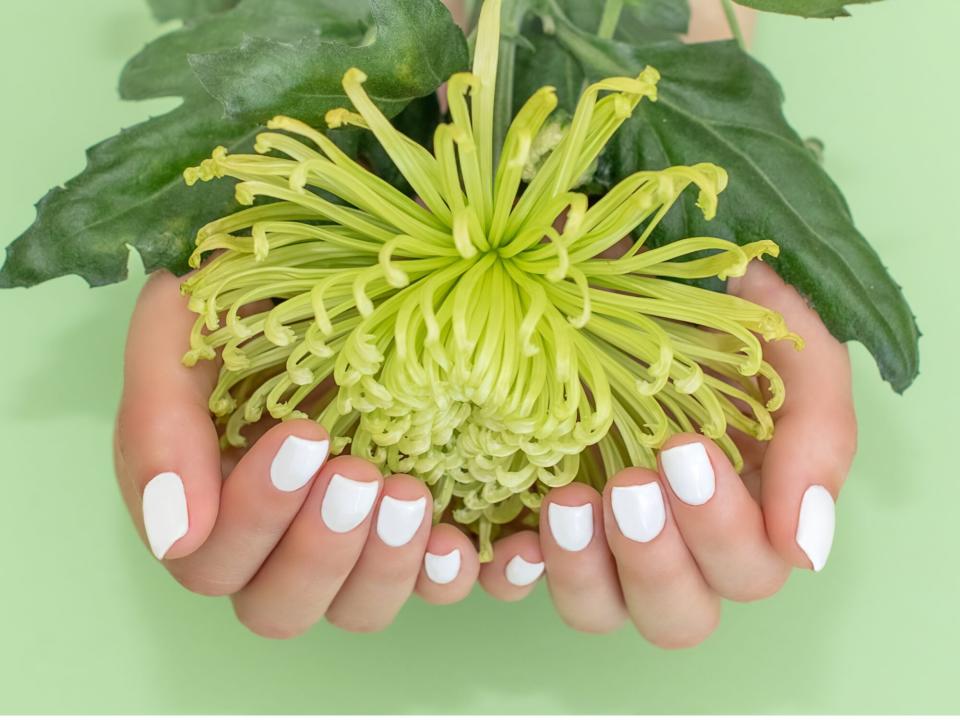 Closeup view of woman with flower on color background with white nail polish