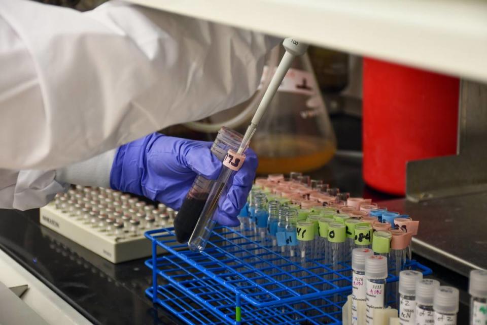 A staff member at the chief medical examiner’s office in Raleigh prepares a blood sample for testing in the toxicology lab.