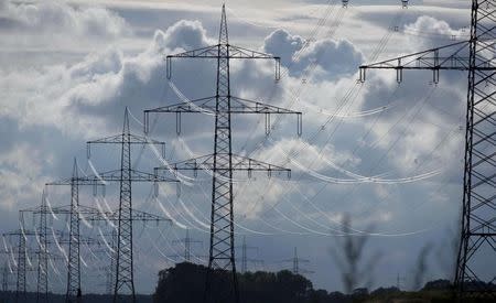 Electric power transmission lines are seen in Neuhof, near Hamburg July 13, 2012. REUTERS/Morris Mac Matzen