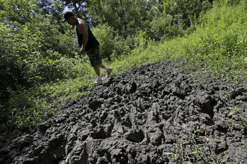 FILE - Trapper John Schmidt, a wildlife trapper, walks past damage from feral hogs that happened overnight while foraging near one of his traps in New Orleans, June 17, 2014. Eight years into a U.S. program to control damage from feral pigs, the invasive animals are still a multibillion-dollar plague on farmers, wildlife and the environment. (AP Photo/Gerald Herbert, File)